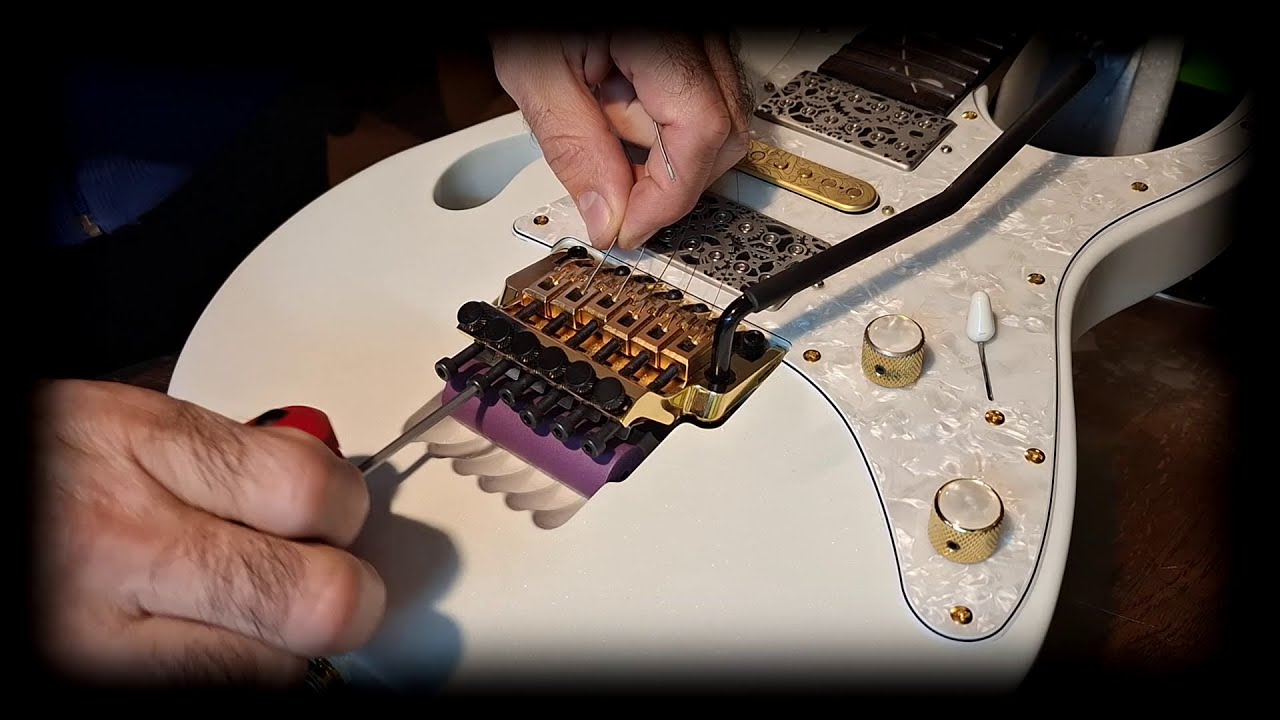 Pode&scaron;avanje IBANEZA - Pia ( IBANEZ Pia SETUP )