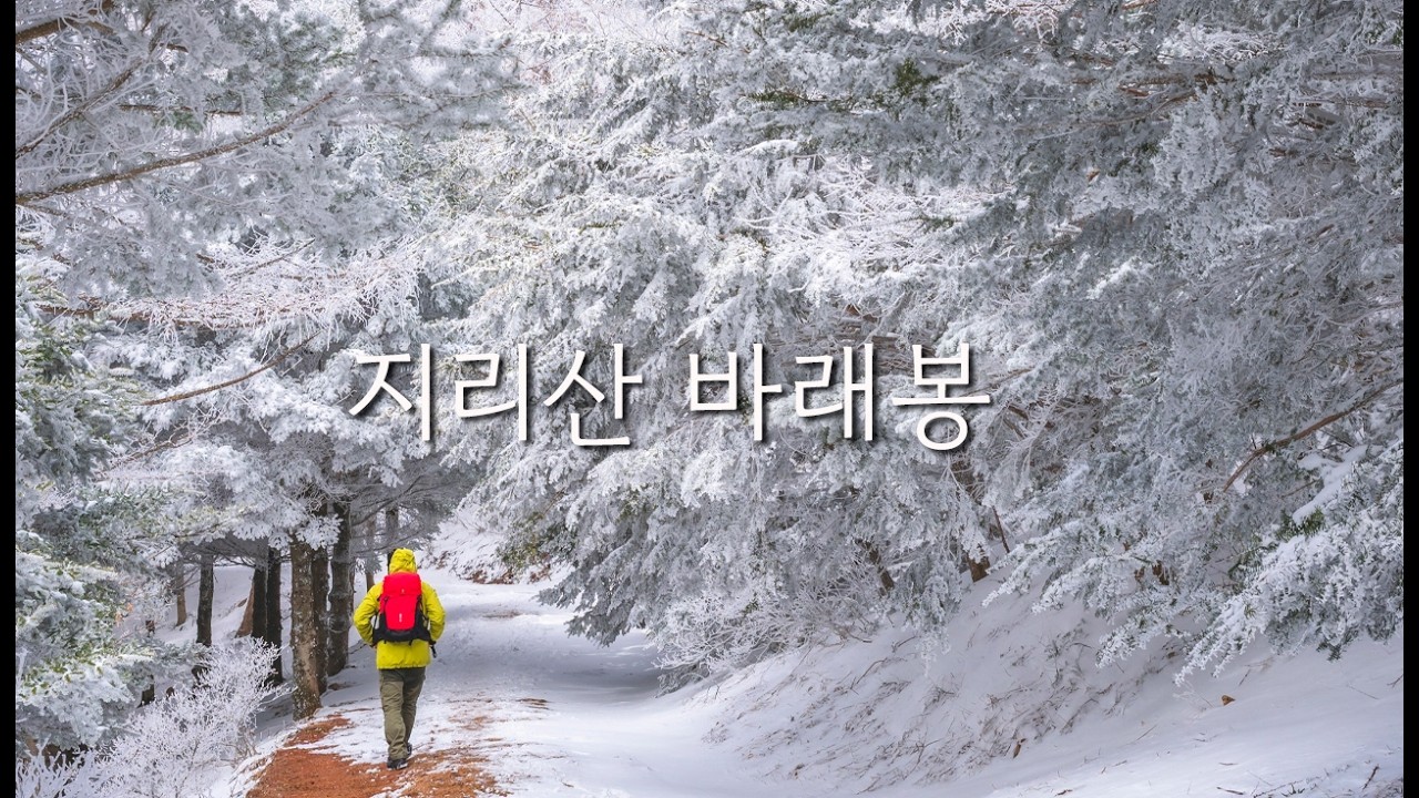 지리산 눈꽃 성지! 바래봉 상고대