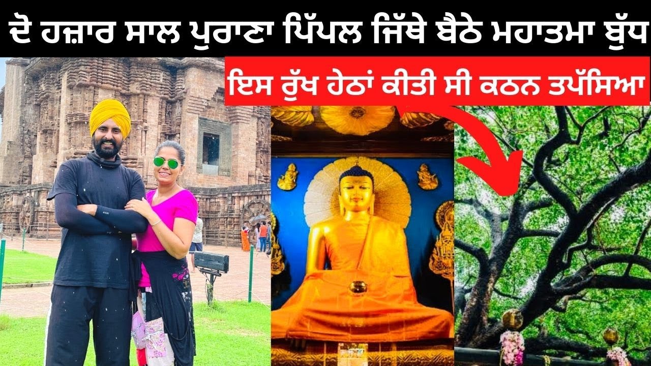 Mahabodhi Temple Bodh Gaya | Punjabi Travel Couple | Ripan & Khushi