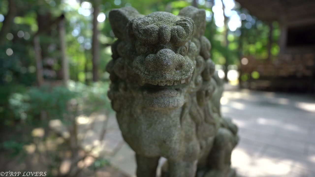【岩手県 4K】平泉/中尊寺金色堂周辺の散歩(立体音響ASMR)