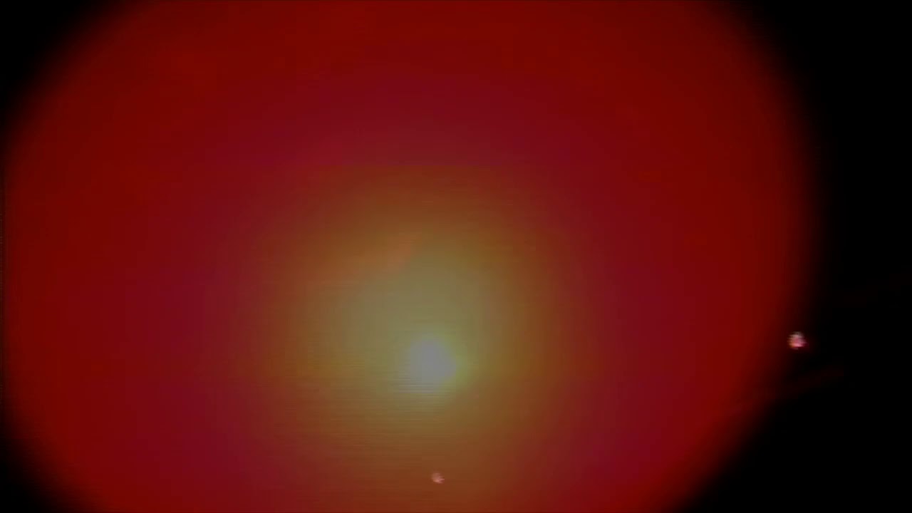 The Men - Children All Over the World (Official Music Video)