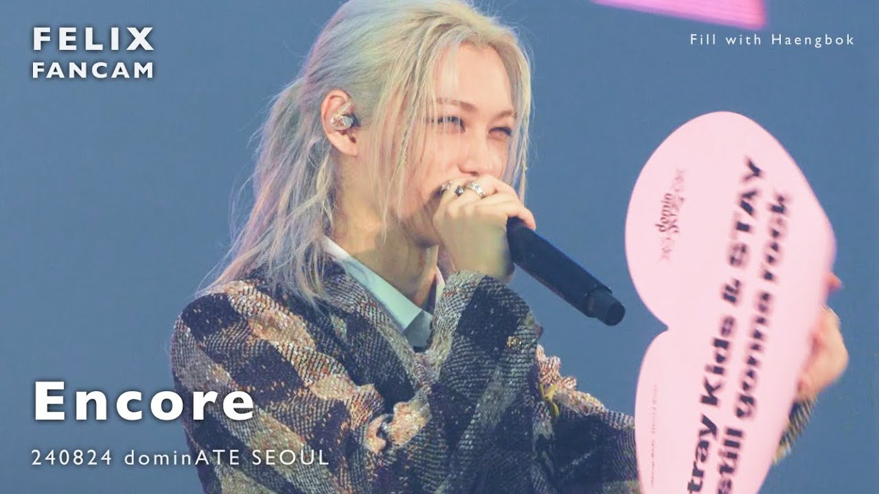 [4K60fps] 240824 Encore dominATE SEOUL 필릭스 Stray Kids [Felix FanCam]