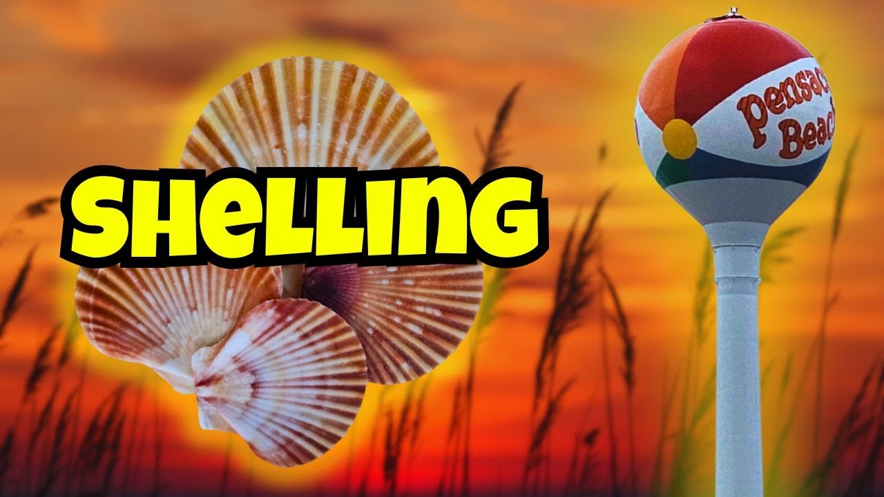 SHELLING Haven: Discovering Pensacola Beach's Coastal Treasures