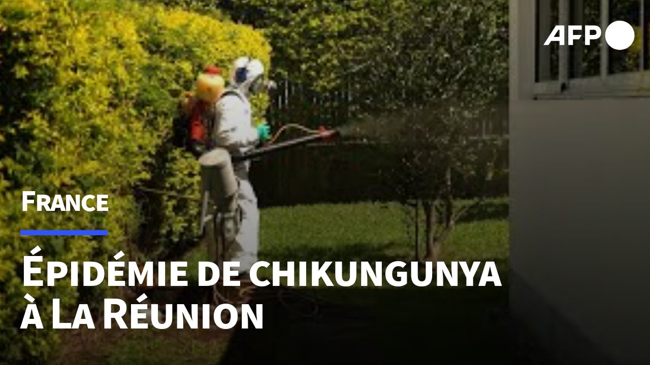 À La Réunion, l'épidémie de chikungunya prend de l'ampleur | AFP