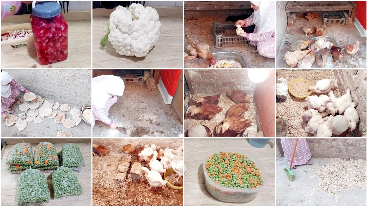 روتينكم المفضل🐓🏡خلاص مفيش وقت✋️نبدابقى نجهزله ونحضرله🌙أول تجهيزات رمضان 2025❤️ربنايعين الجميع🤲🫶❤️