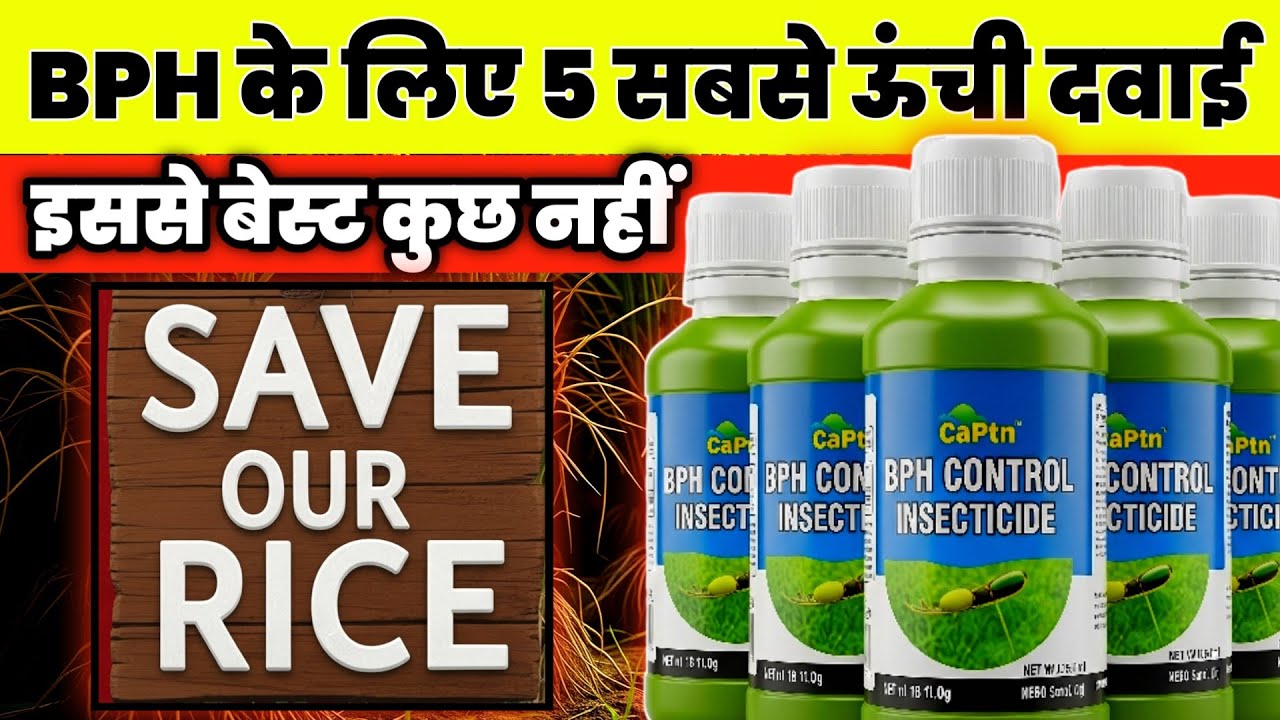 धान में भूरा माहू (BPH) का रामबाण इलाज | Top 5 Best Insecticides for Brown Plant। BPH Control 100%