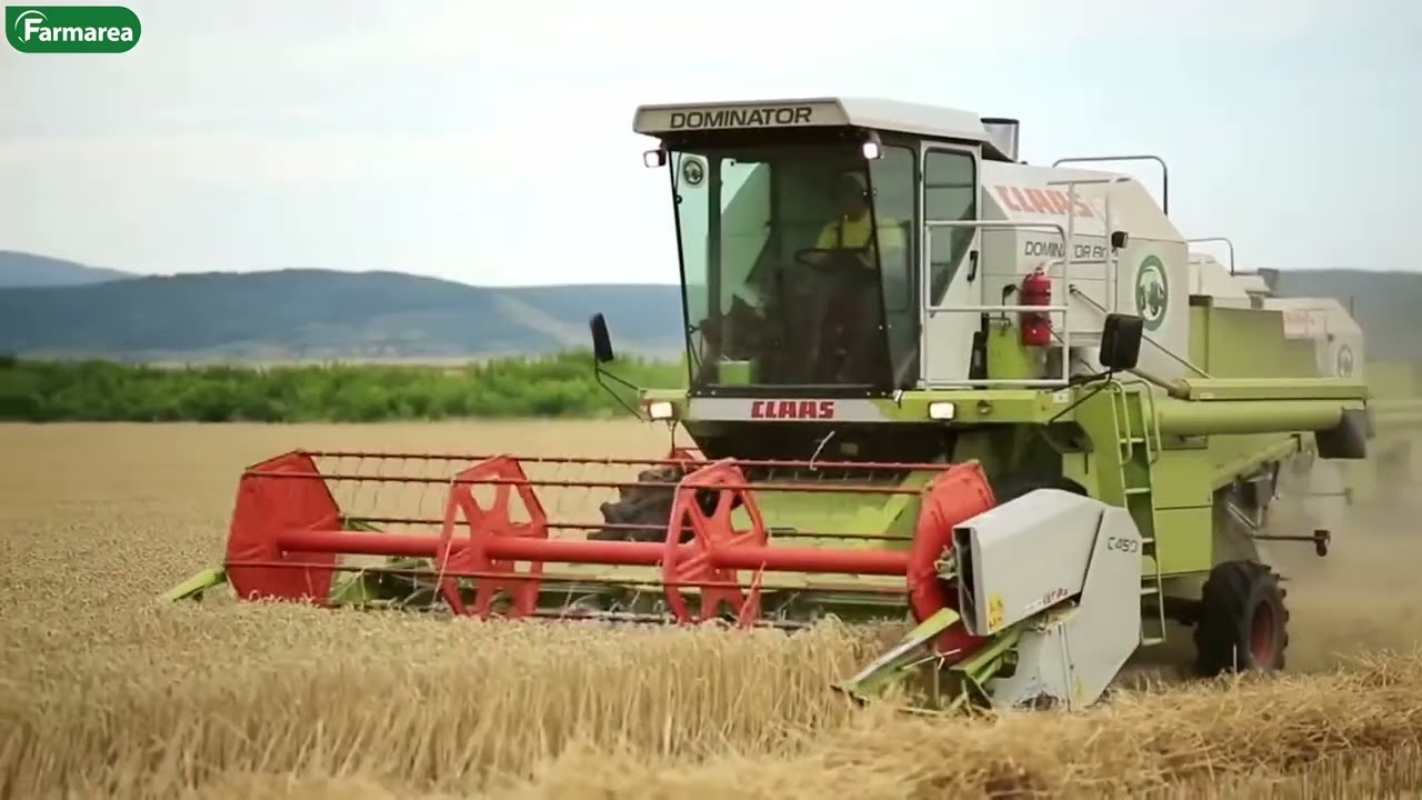 Claas Dominator 130 - ლეგენდარული კომბაინი