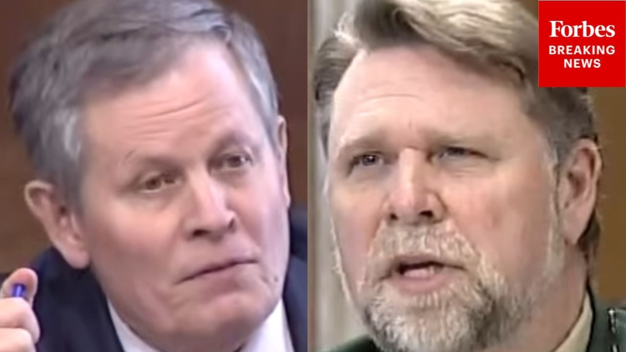 'Do You Agree?': Steve Daines Asks Forest System Deputy About Wilderness Preservation System