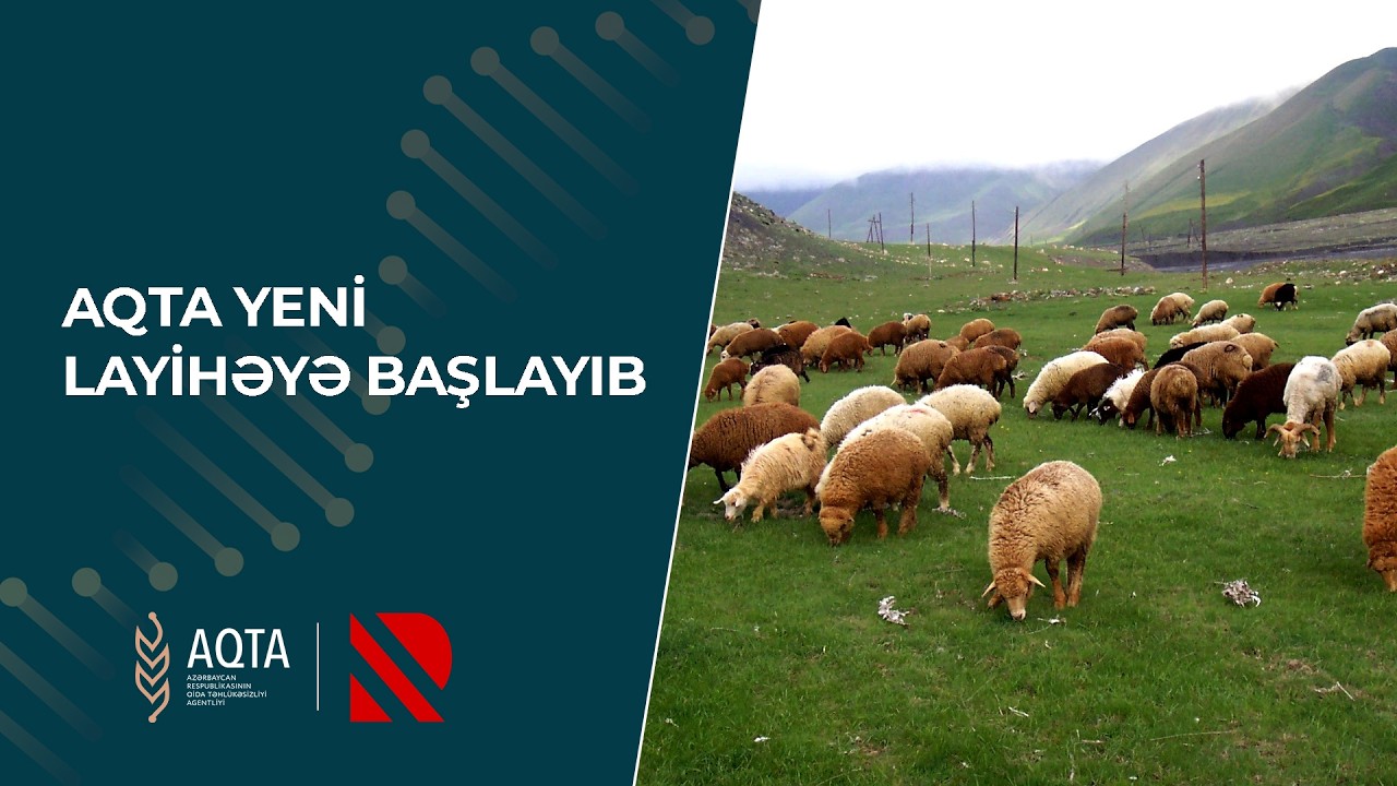 AQTA yeni layihəyə başlayıb - Real TV