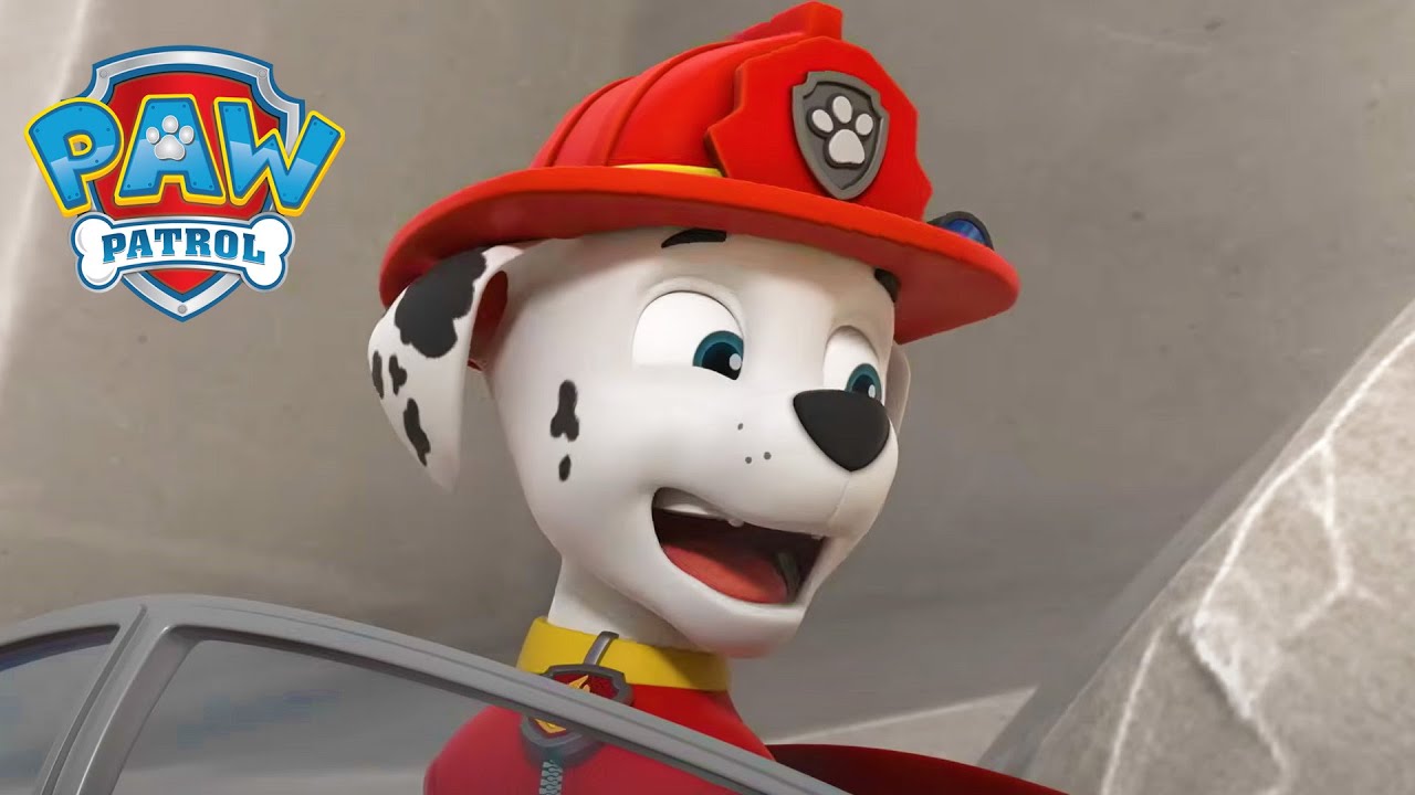 The Pups Go for Gold!🏆-  PAW Patrol Episode - Cartoons for Kids