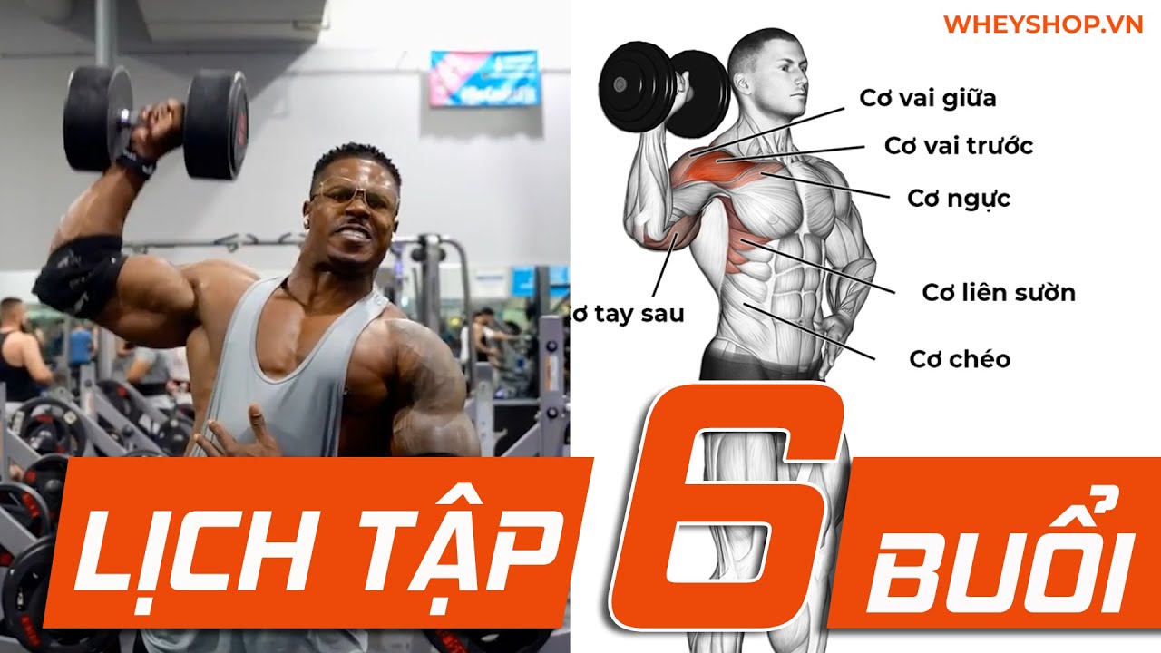 Lịch Tập Gym Cho Nam 6 Buổi 1 Tuần Chi Tiết Nhất I WHEYSHOP VN