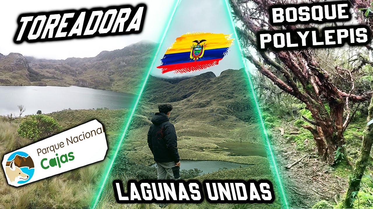 🏕️SUPER ACAMPADA EN EL 