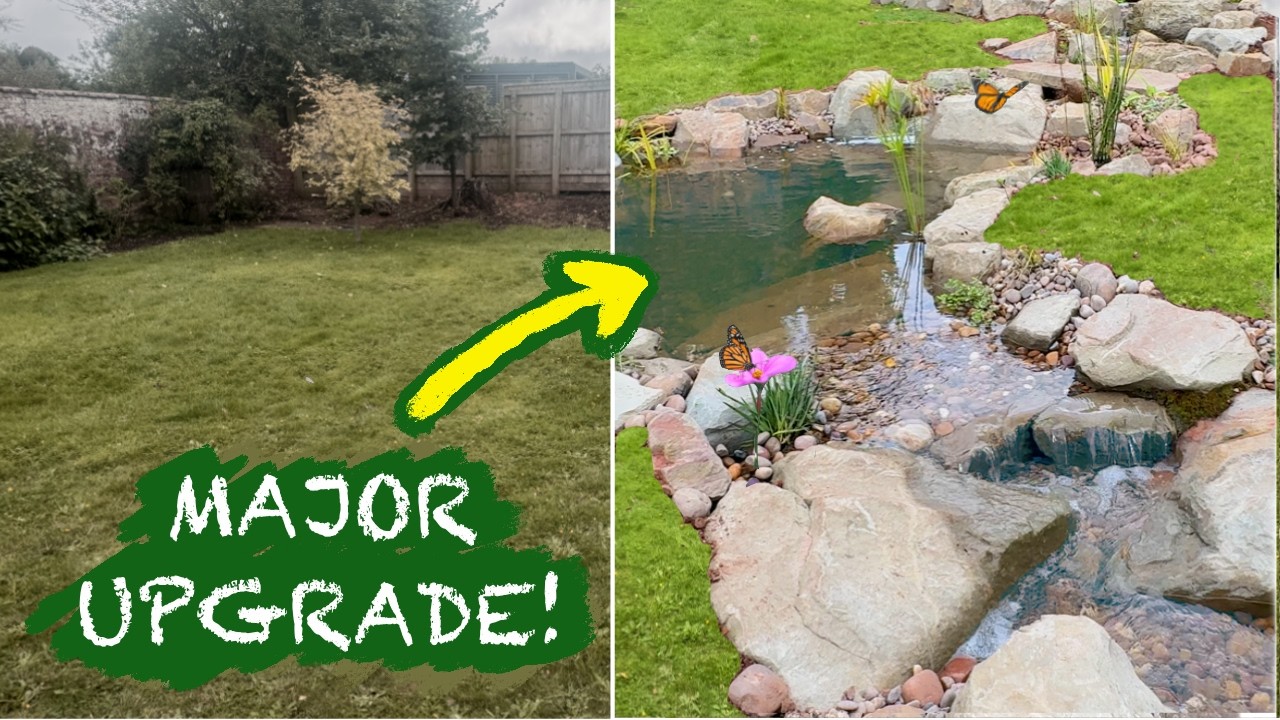 We Turned This Garden Into a Natural Stream (Start to Finish)