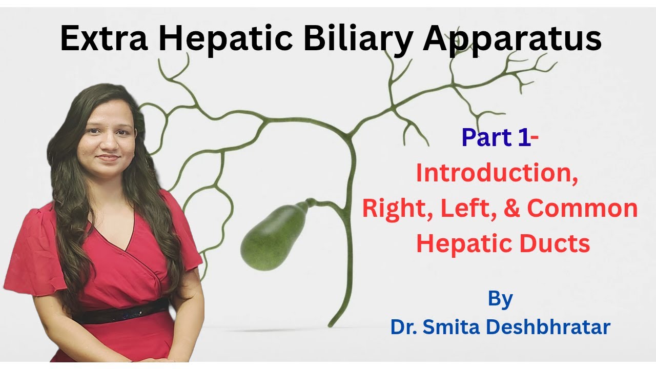 Extra Hepatic Biliary Apparatus (Part 1) - Introduction, Right, Left, & Common Hepatic ducts