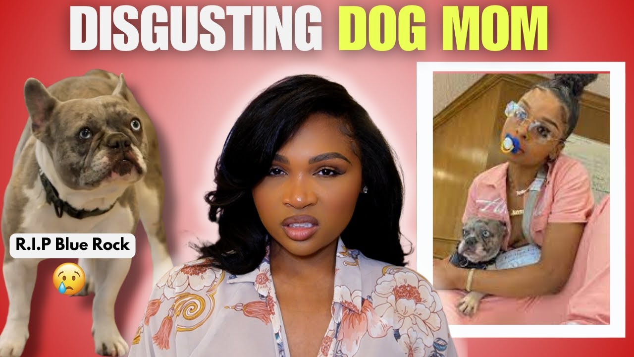 Крисен Рок жестоко обращалась со своей собакой. К сожалению, он не выжил 😥