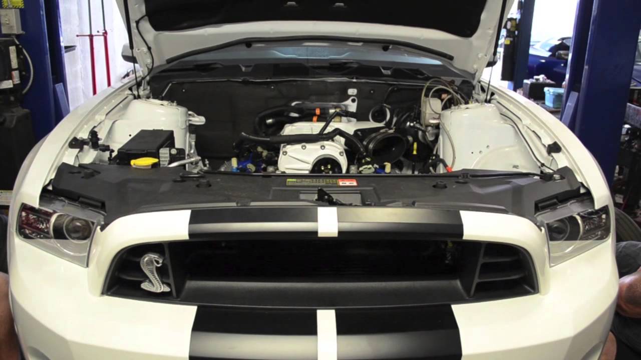 Lethal Performance 2013 GT500 Motor Install & Dyno!