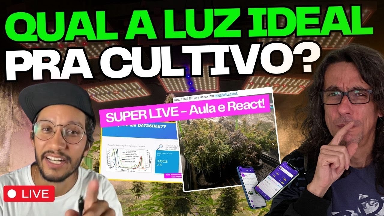 A ILUMINA&Ccedil;&Atilde;O NO CULTIVO INDOOR + Aula de Cultivo Mineral + React de Cote&uacute;do = Superlive