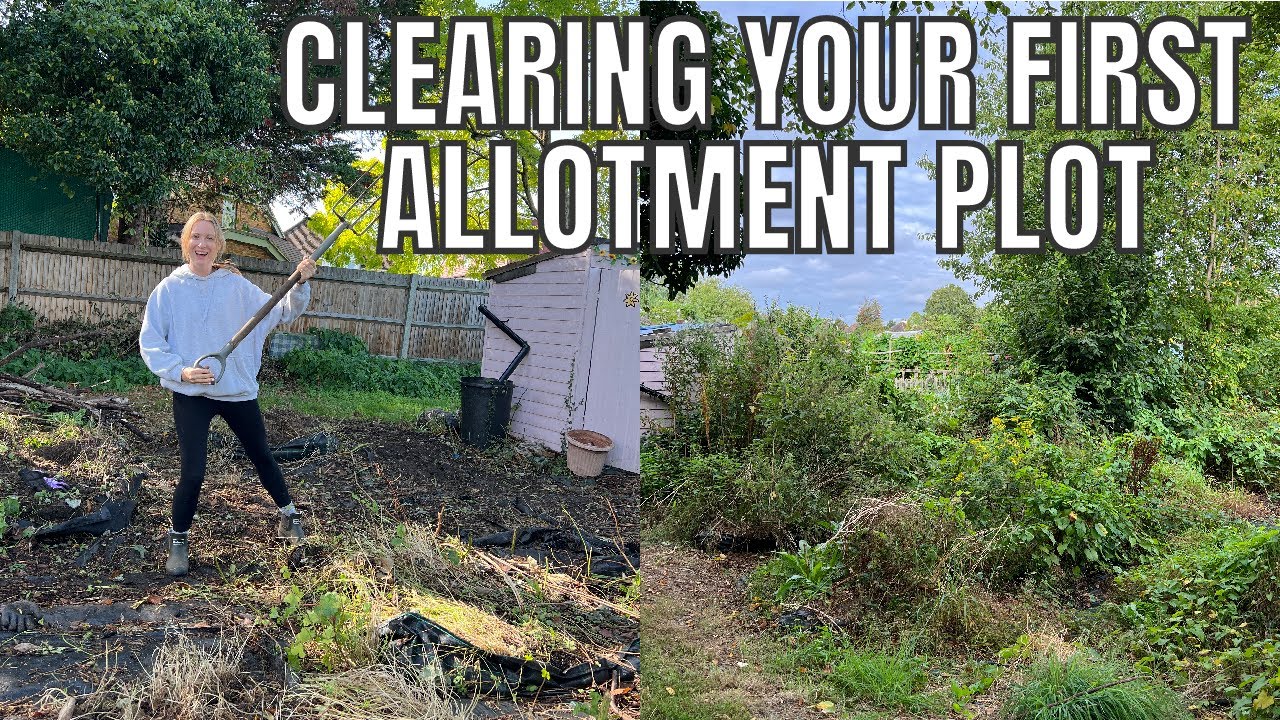 CLEARING YOUR FIRST ALLOTMENT PLOT / ALLOTMENT GARDENING FOR BEGINNERS