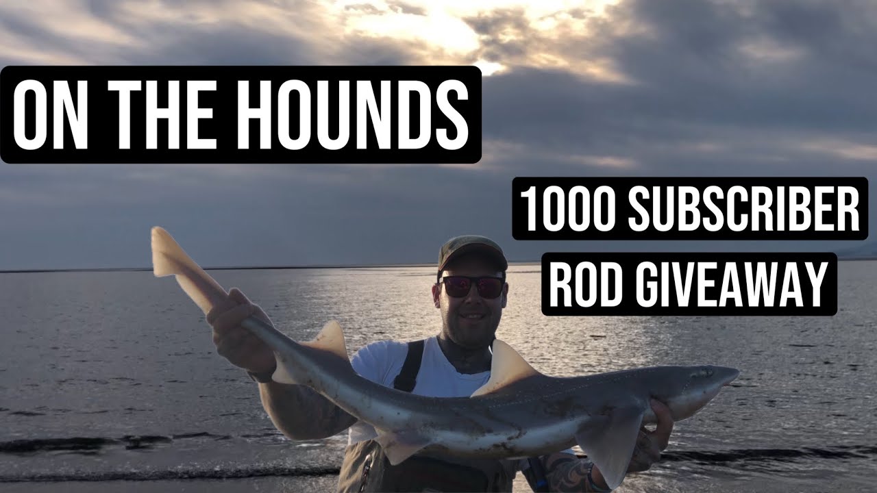 Smooth Hound fishing in spring - zulcron sports rod giveaway