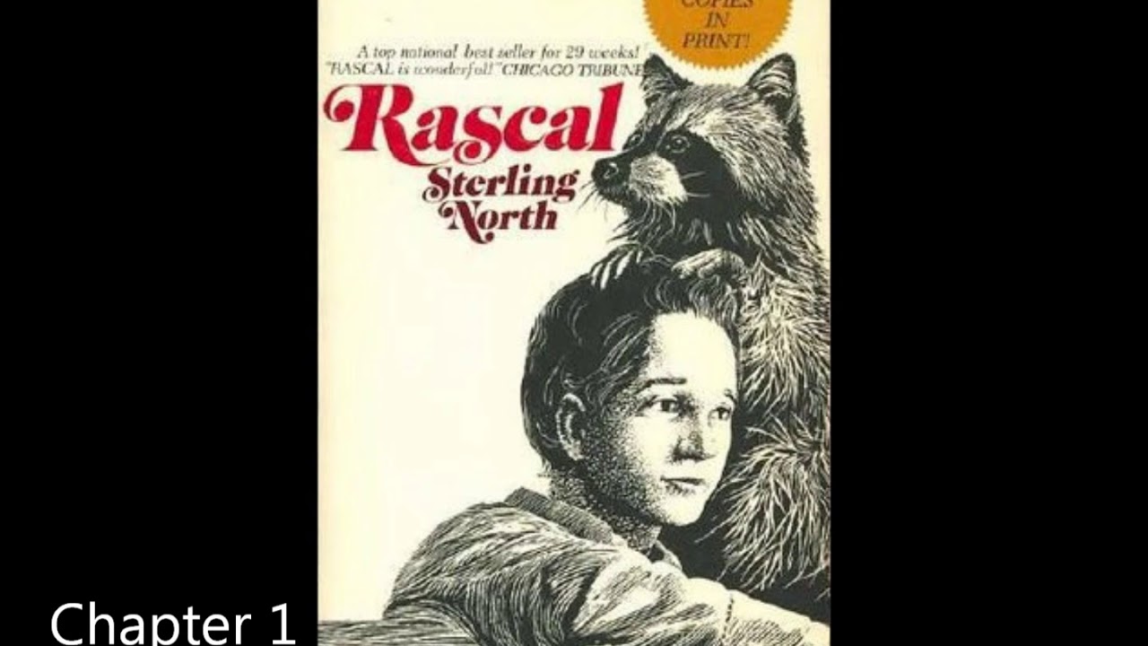 Rascal chapter 1