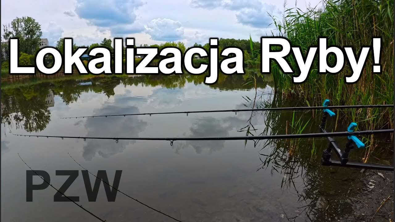 Obserwacja Kluczem Do Sukcesu! Karpie z Method feeder w 4h na PZW!