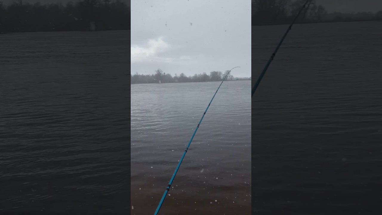 Žvejyba balandžio vidury. Nemuno delta 2017