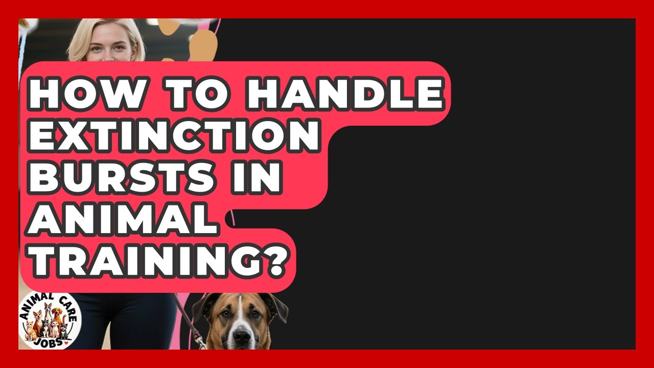 How To Handle Extinction Bursts In Animal Training? - Animal Care Jobs