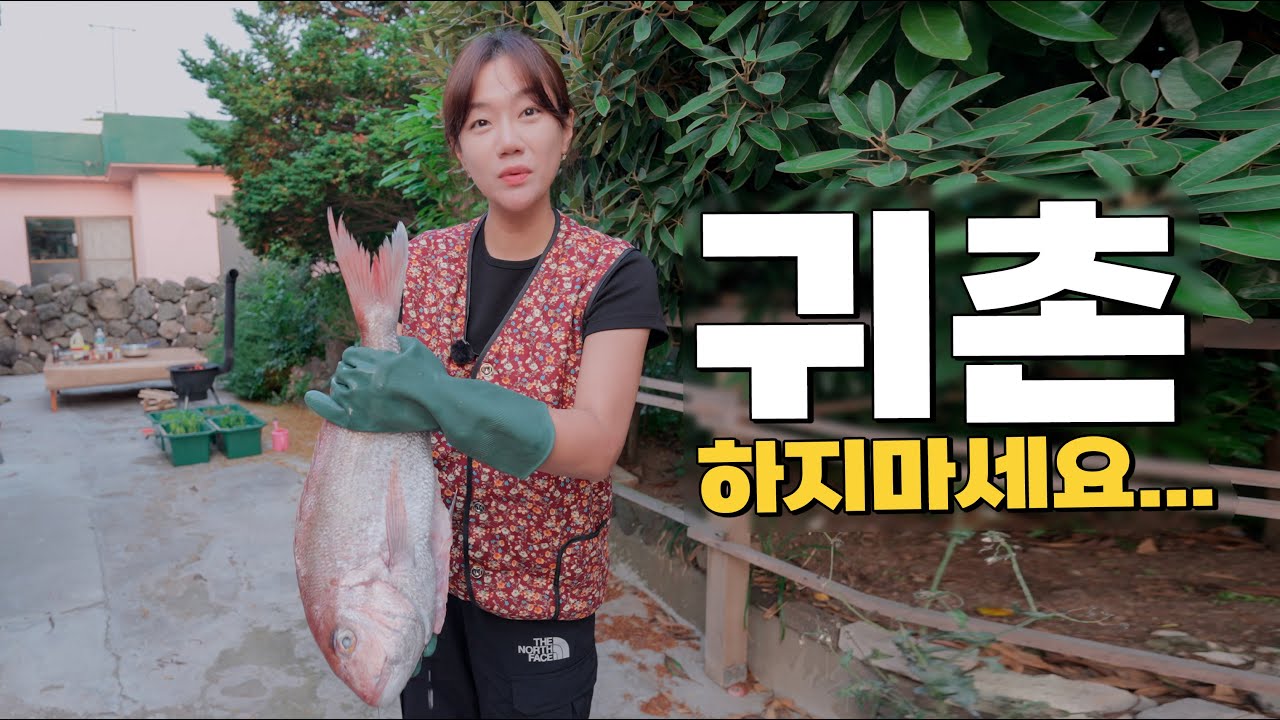 시골집 로망? 산산조각 난 초보 귀촌러 3주차 일상