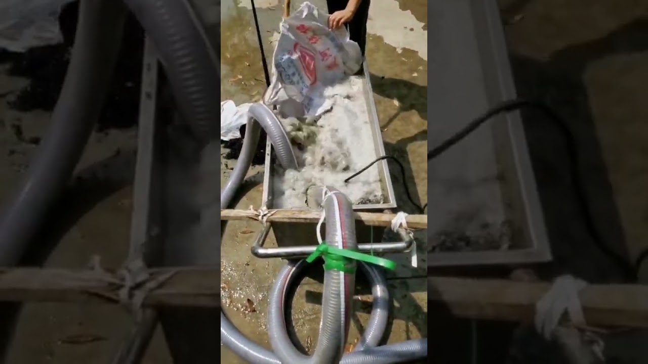 Our patented cutting sump pump is working in the water.