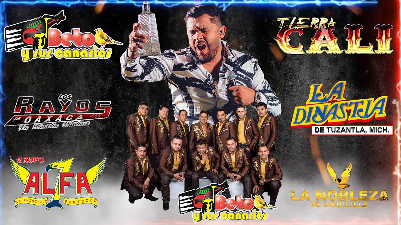 Los Mejores &Eacute;xitos de Tierra Caliente ⚡Tierra Cali, Beto y sus Canarios, La Dinastia, Gerardo D&iacute;az