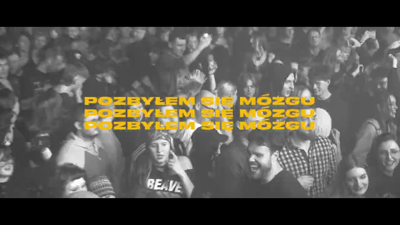 zdechly osa - pozbyłem sie muzg&oacute;