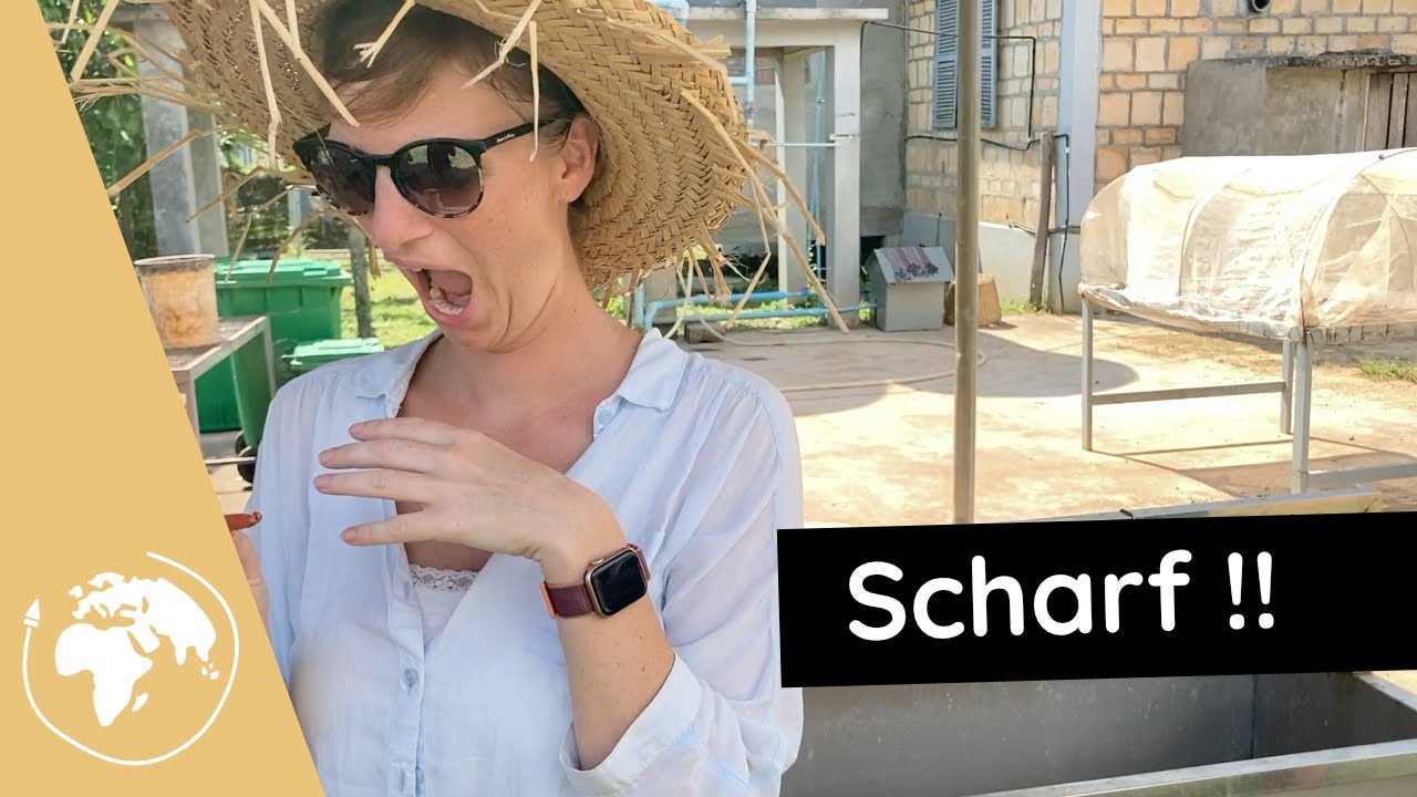 Der beste Pfeffer der Welt ● Kampot ● Vlog #150