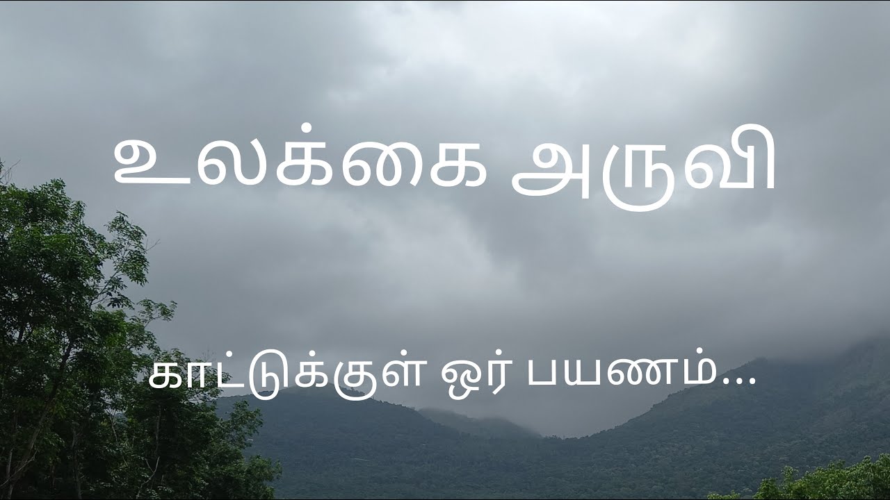 Ullakkai Aruvi | Universal Falls | nature| உலக்கை அருவி |Kanyakumari