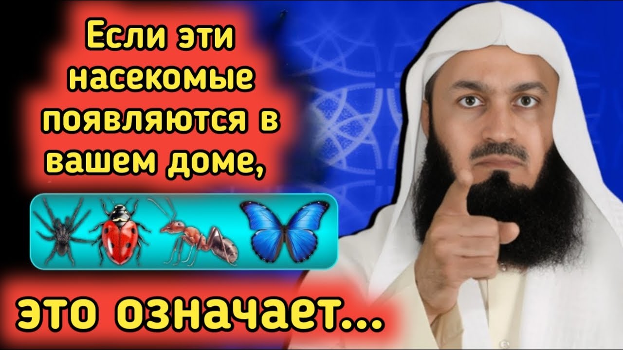 Когда насекомые приходят в ваш дом, не игнорируйте эти 6 предостережений от Аллаха | Муфтий Менк