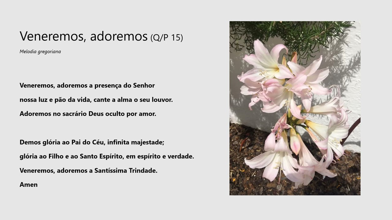 Veneremos, adoremos (Q/P 15)