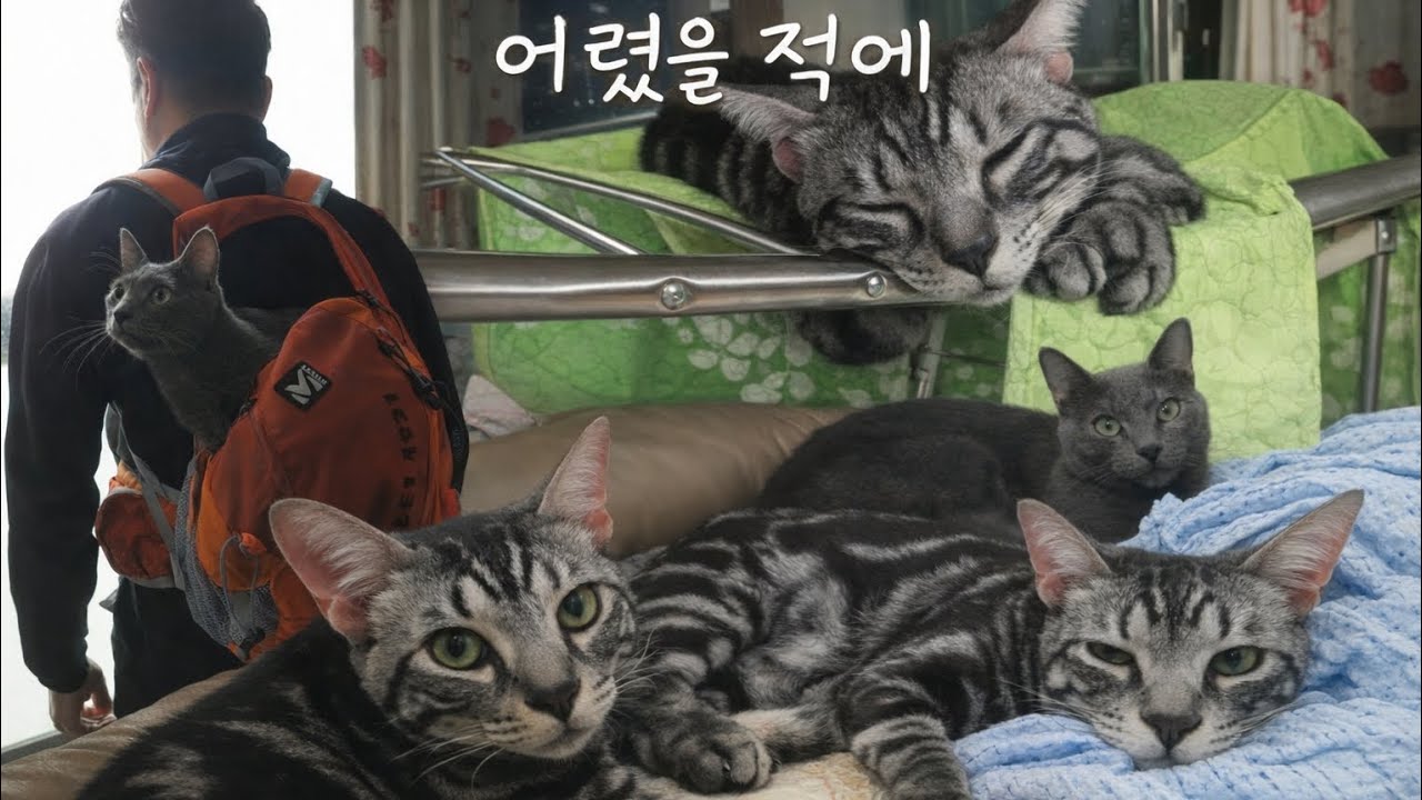 # 64  팔불출 집사