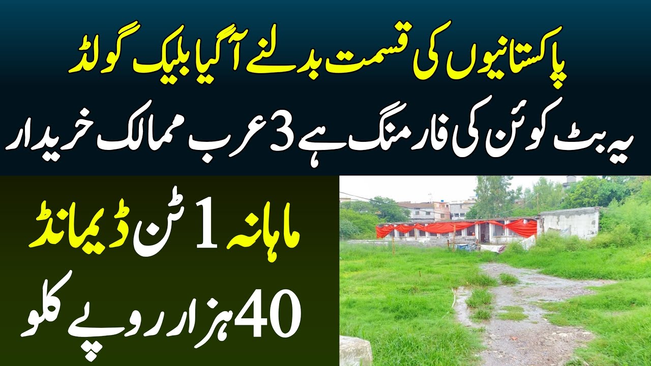How This farming is like as Bitcoin In pakistan