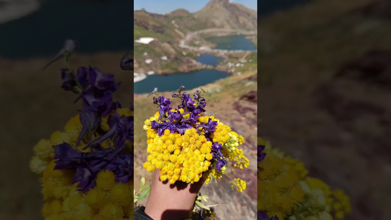 Hakkari/yüksekova Cilo Sat GöLLeri