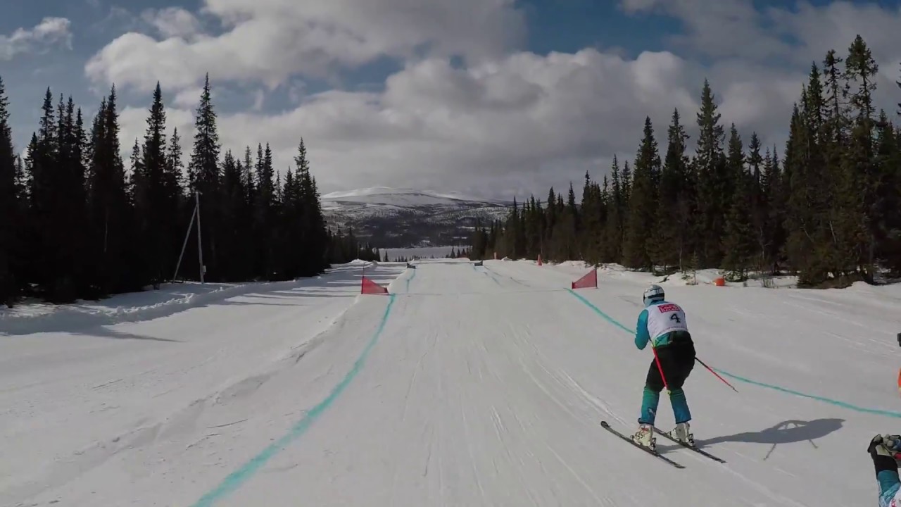 SkiCross - Lofsdalen, Sweden 2017