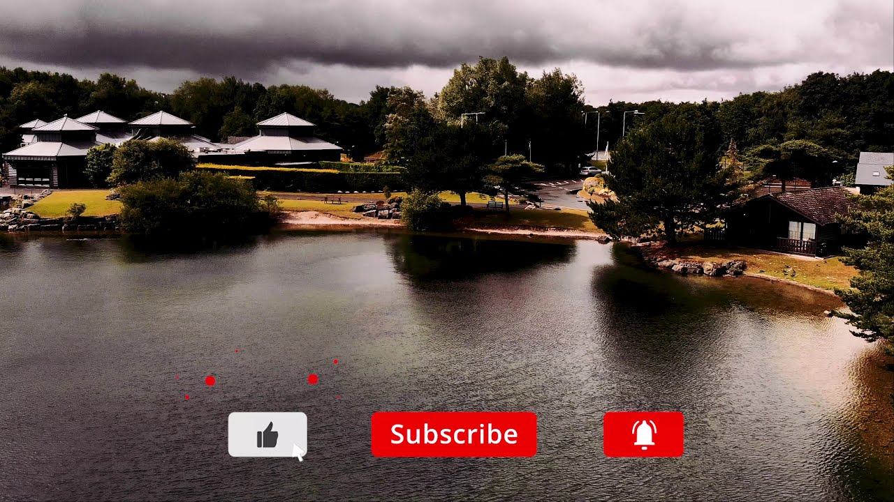 Pine Lake cabin review