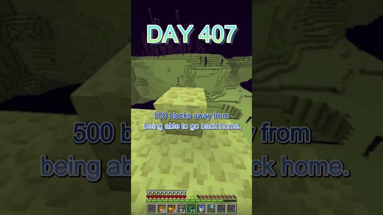 Day 407!! 