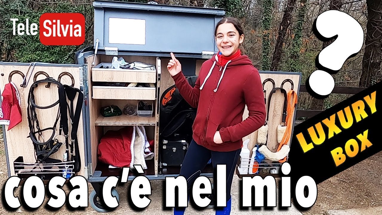 COSA C'É NEL MIO LUXURY BOX - CASSONE PORTASELLA DA EQUITAZIONE ?
