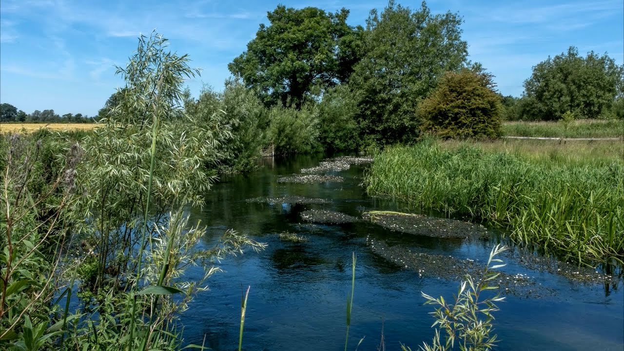 First Day of the Heatwave - exploring the sources of the River Hull