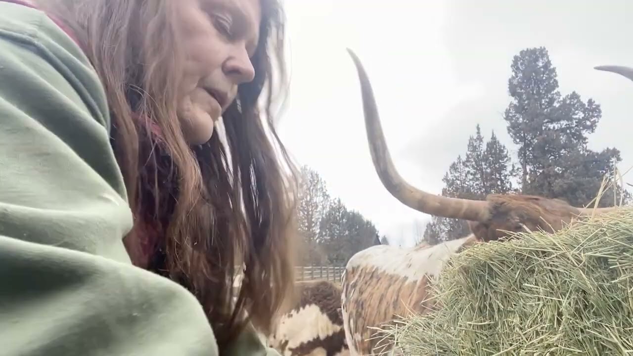 Swingin Horns and Flinging HAY