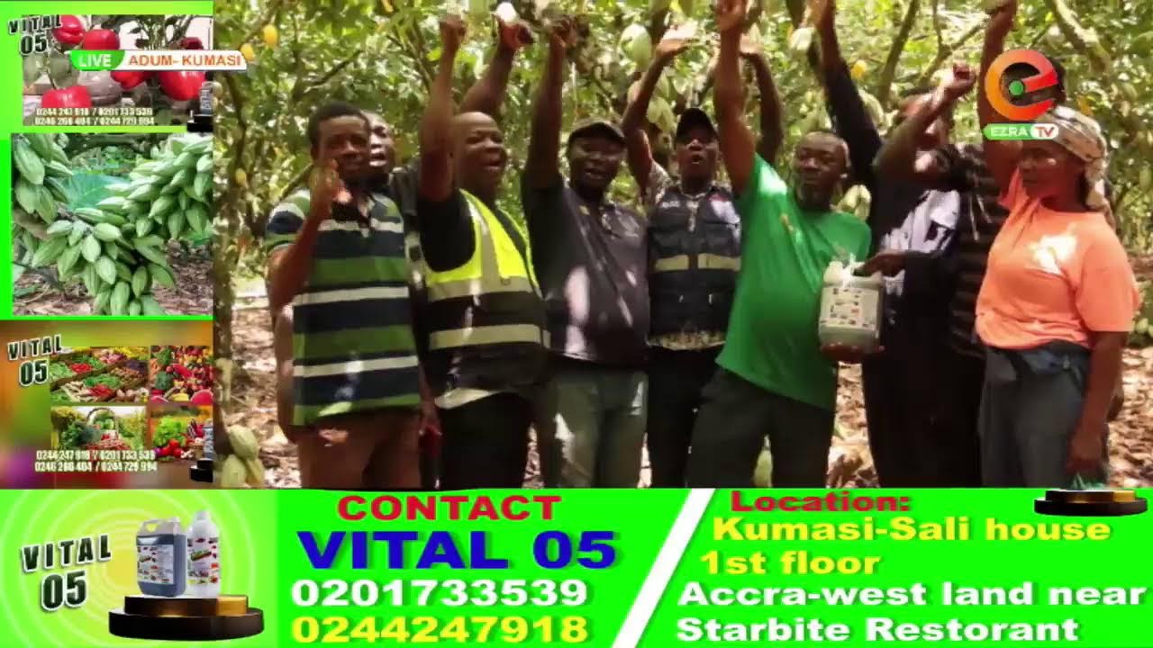 Akuafo TV  Live Stream With COCOBOD Executives