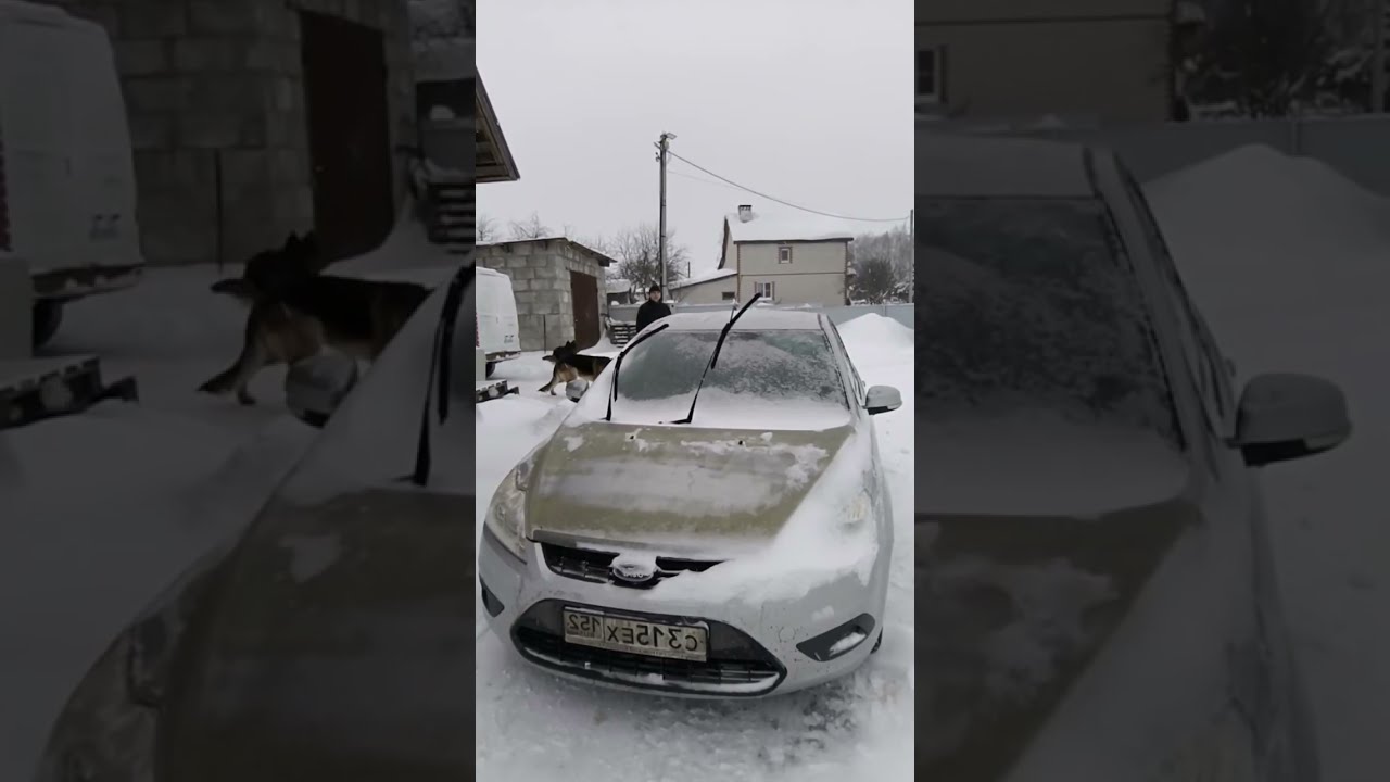 снежное королевство! подписывайтесь друзья ♥️