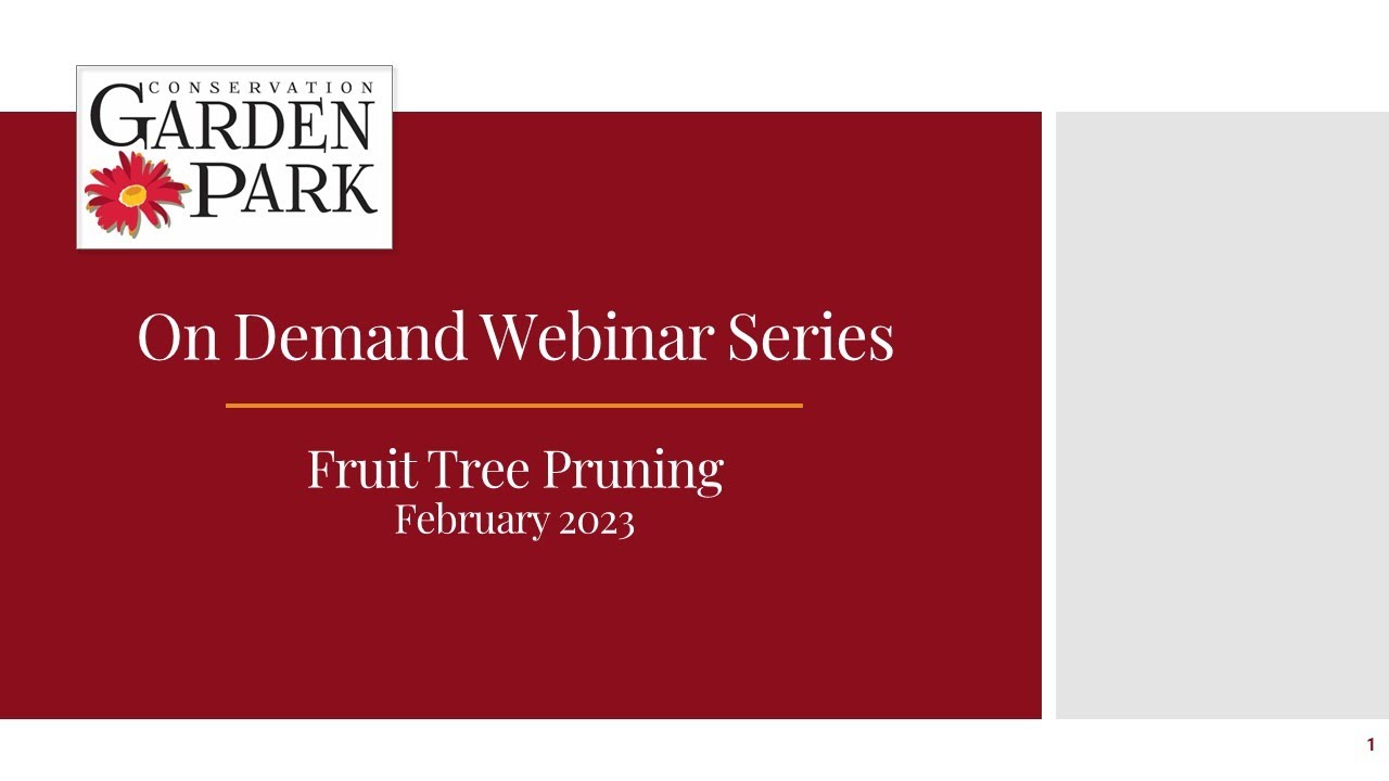 Fruit Tree Pruning: 2023