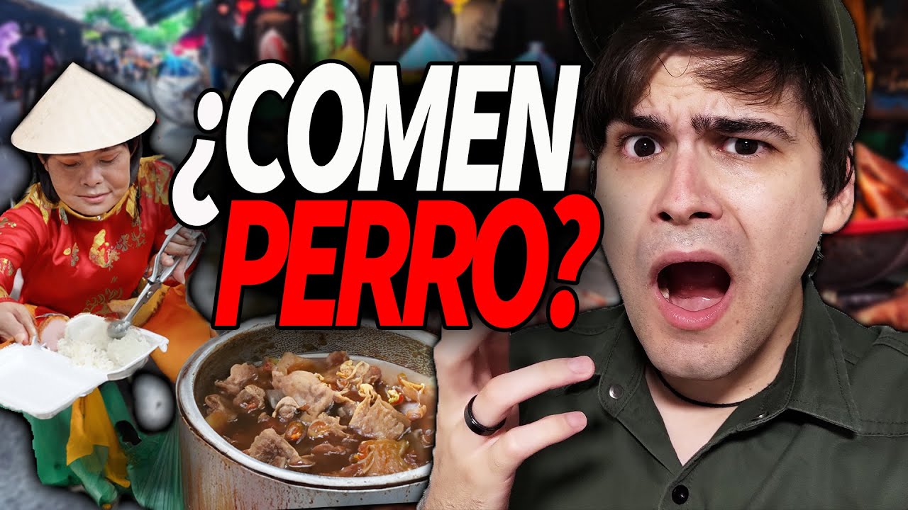 Mercados callejeros que venden perro 😱 Vietnam
