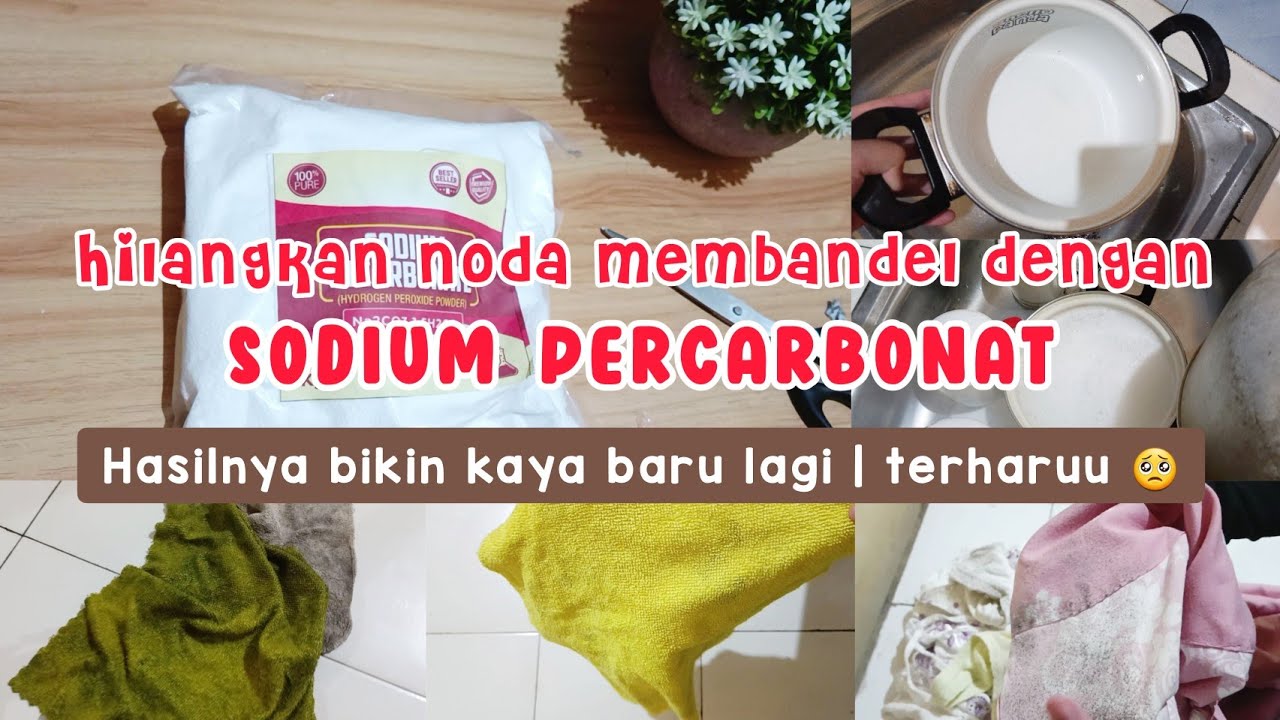 Bersih Bersih Noda Membandel Pakai Sodium Percarbonat | Noda jamur di baju bisa hilang 👍