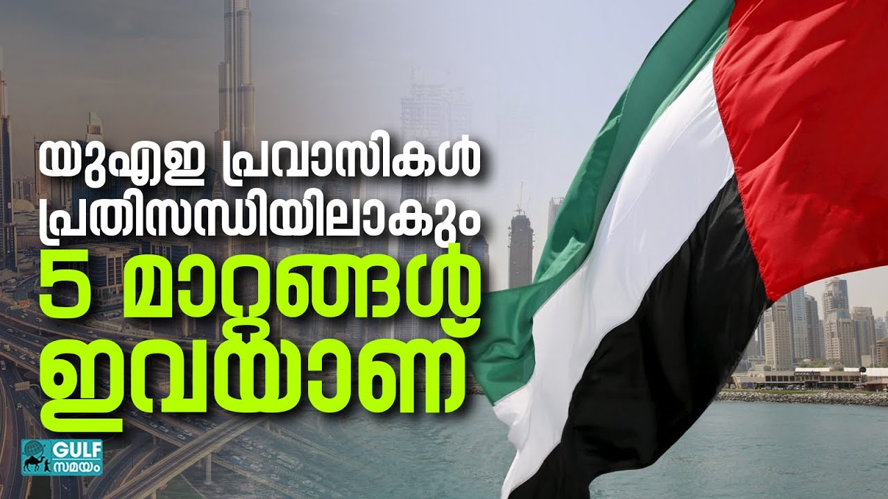 Dubai Rules Living :  വലിയ ശമ്പളം വാങ്ങുന്നവർ പോലും ദുബായ് വിടുന്നു